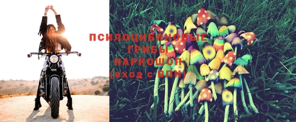 apvp Покровск